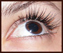 eye-before eye-before